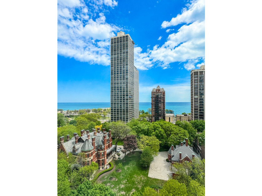 One of Chicago's finest cooperative residences, this - photo 35