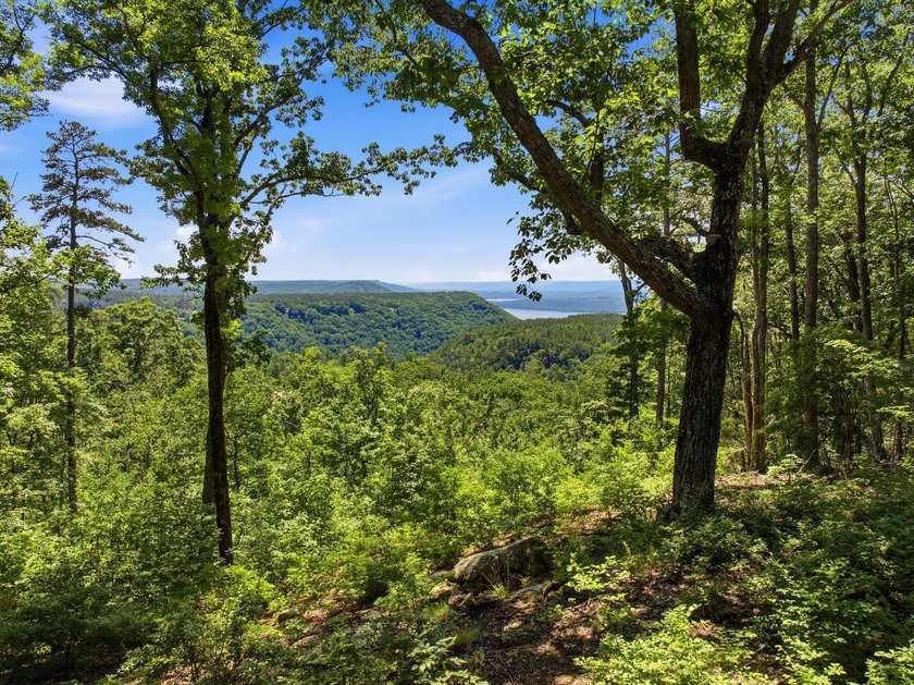 Exceptional opportunity to build your dream home on 5.12 acres - photo 2
