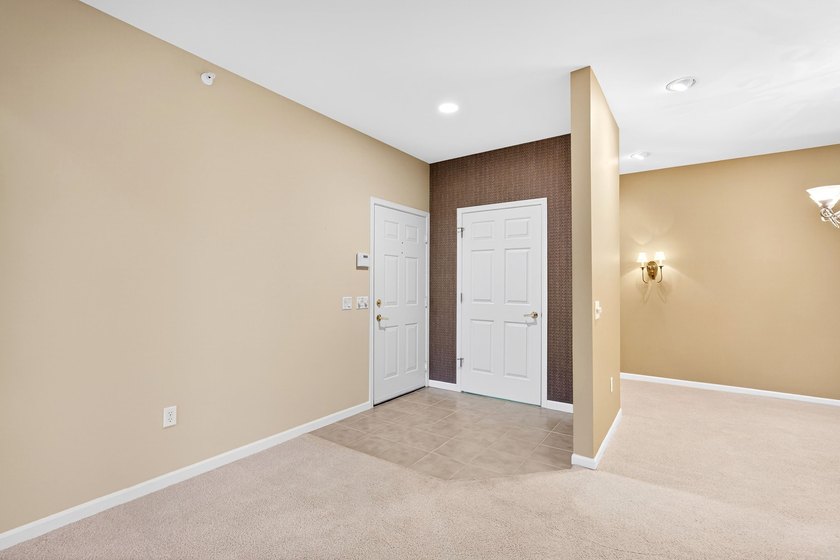 Beautiful luxury condominium home in East Madison's sought after - photo 31