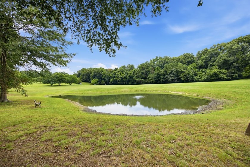 4BD/2.5BA home on 8.21 Acres zoned for Heritage Schools! - photo 3