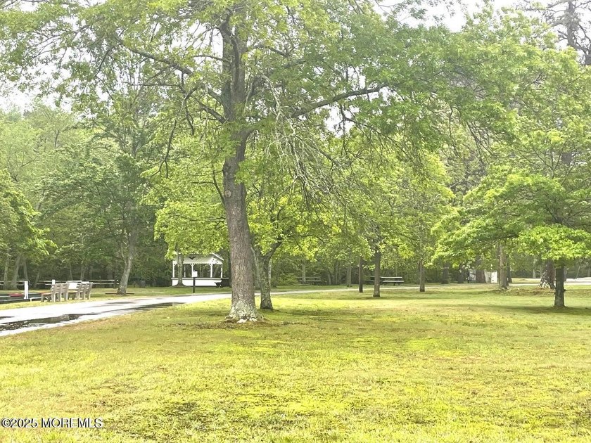 Welcome to Cedar Glen Homes. This active adult community is one - photo 28
