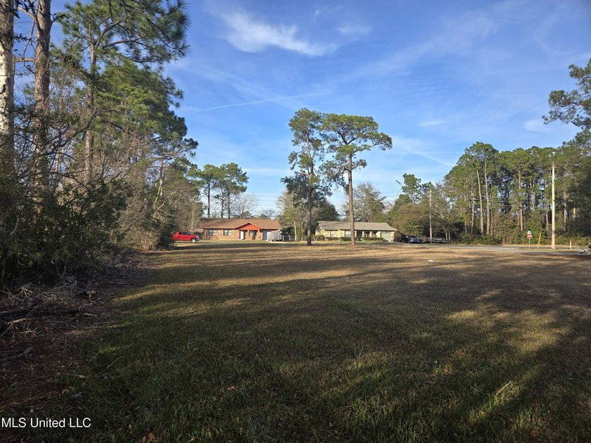 Location, location, location! Hard .6026 acre corner of Dedeaux - photo 6