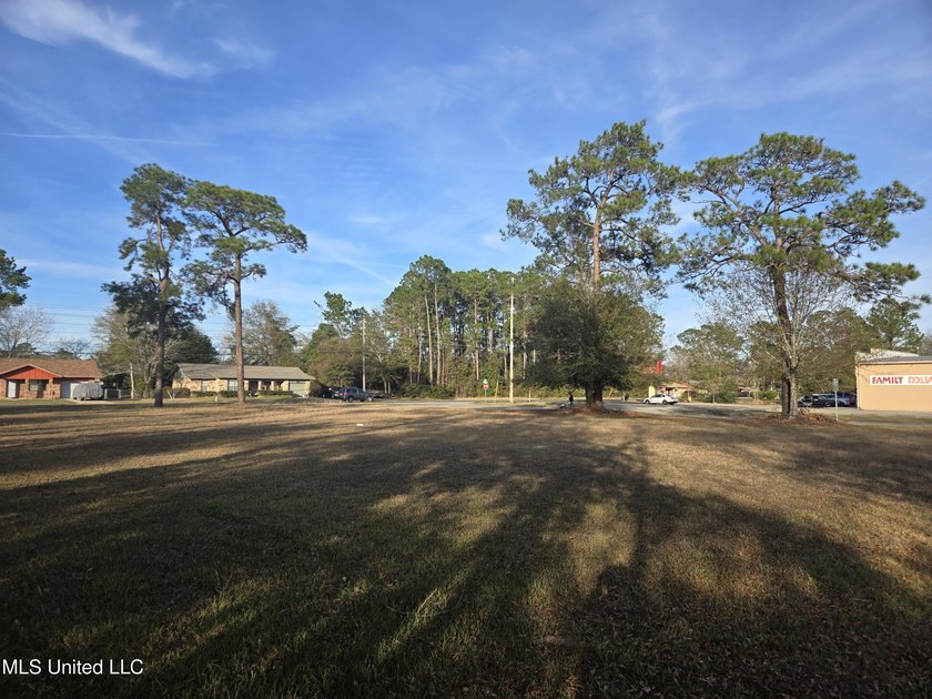 Location, location, location! Hard .6026 acre corner of Dedeaux - photo 9