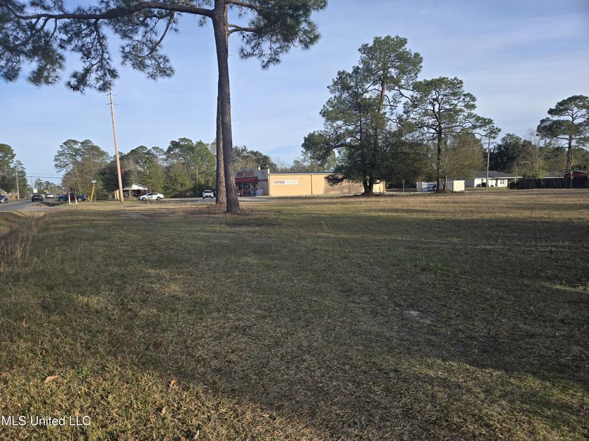 Location, location, location! Hard .6026 acre corner of Dedeaux - photo 10