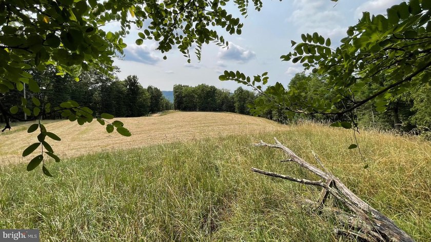 CALL NOW TO SEE THIS COLONIAL HOME WITH LOTS OF PRIVACY AND - photo 47