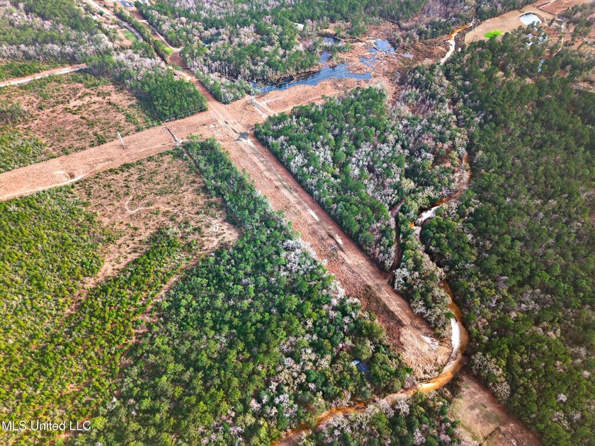 Tucked away in the quiet countryside, this 16+ acre parcel - photo 6