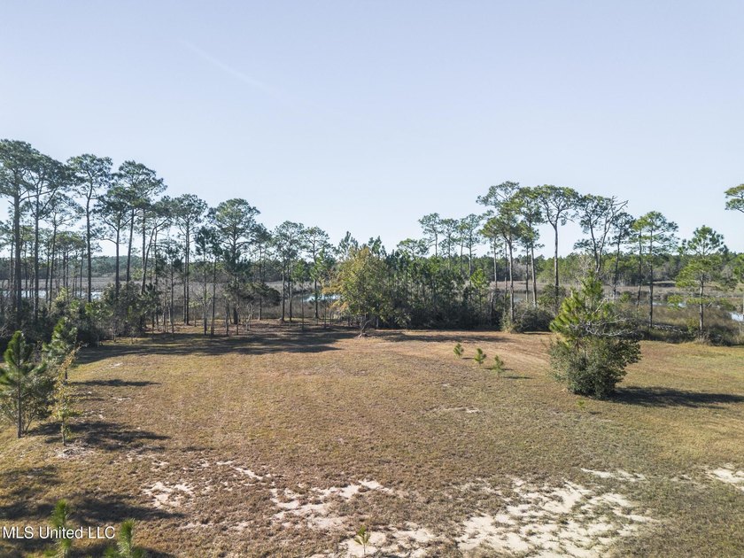 What a deal this is for a waterfront lot in Ascot Point with - photo 8