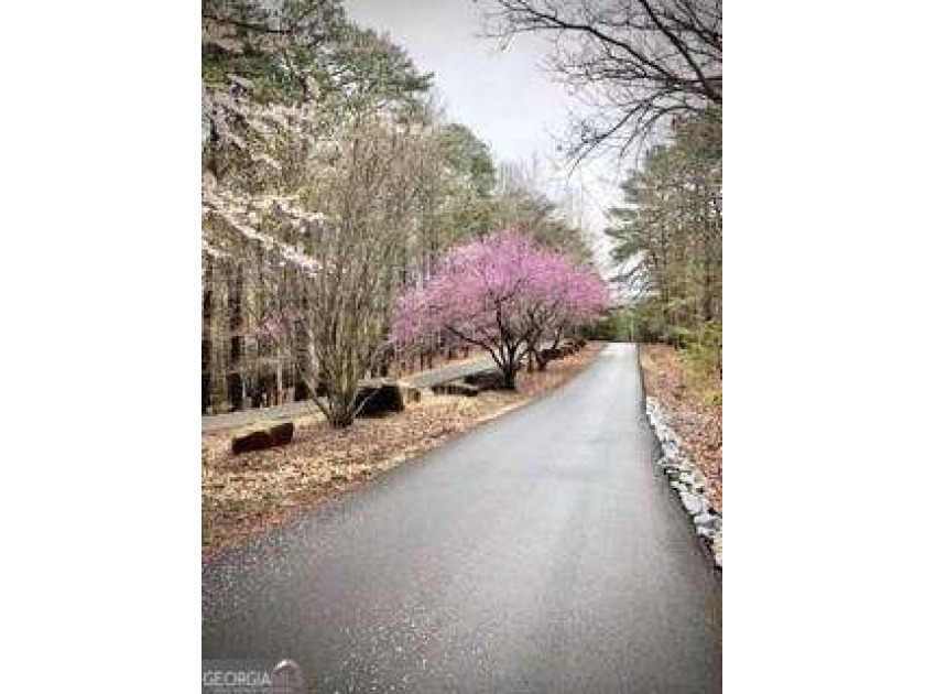 New Construction JW COLLECTION 3 Bedroom 3 Bath Home in Lake - photo 25