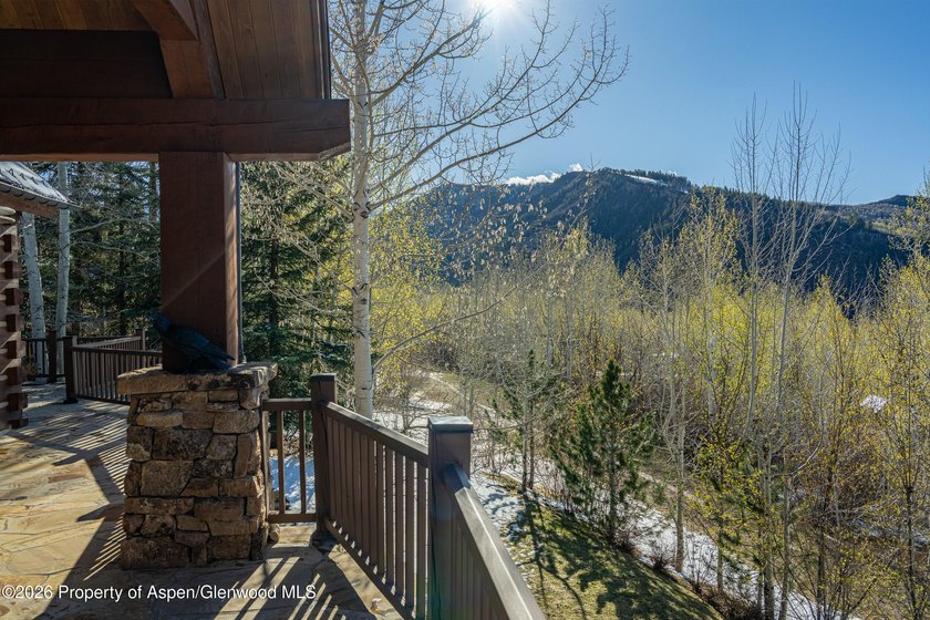 Experience exceptional mountain living in this 9,173 sqft ski-in - photo 38