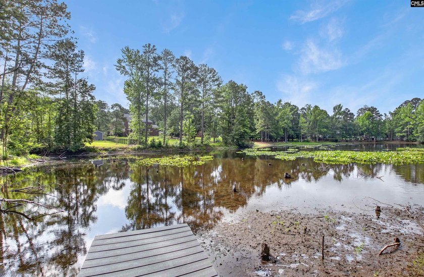 Priced to move! Welcome to 26 Sumner Street in the desirable - photo 9