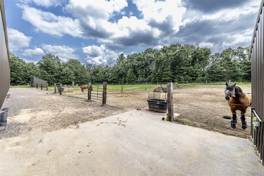 Located on 40 acres in west Central Wisconsin, this property not - photo 11