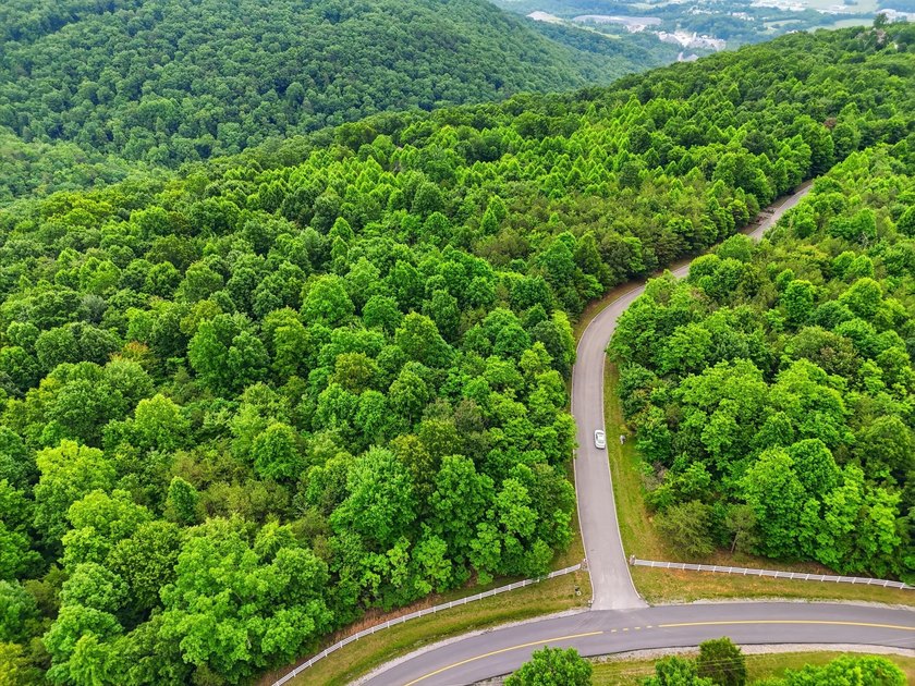 INVESTMENT GEM! Located in the Fredonia Mountain Nature Resort - photo 3
