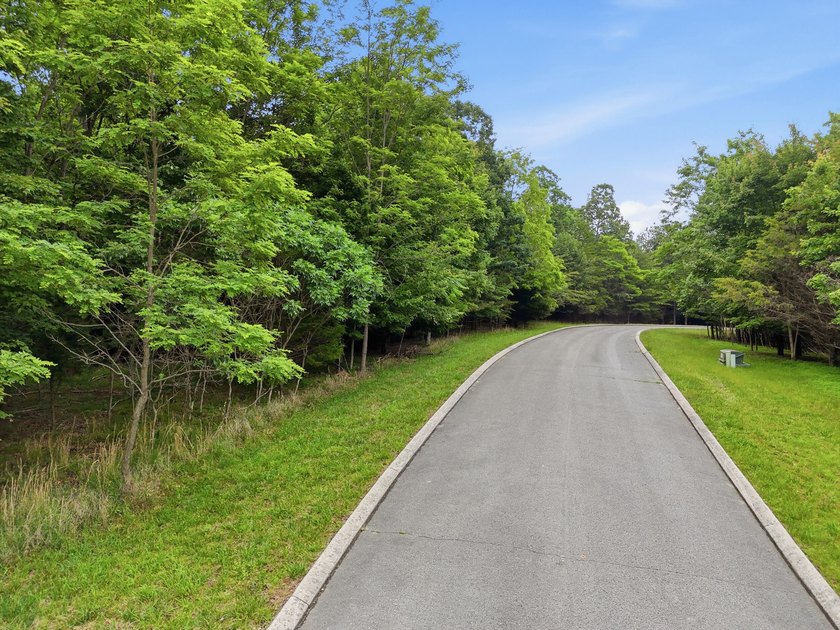 INVESTMENT GEM! Located in the Fredonia Mountain Nature Resort - photo 5