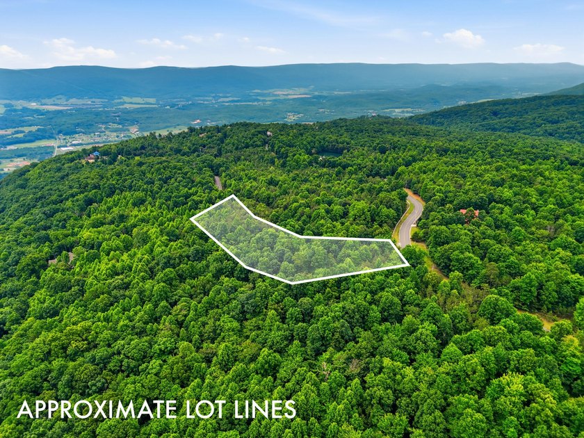 INVESTMENT GEM! Located in the Fredonia Mountain Nature Resort - photo 8