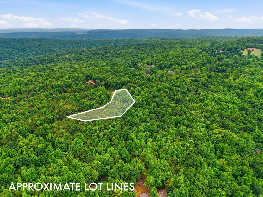 INVESTMENT GEM! Located in the Fredonia Mountain Nature Resort - photo 9