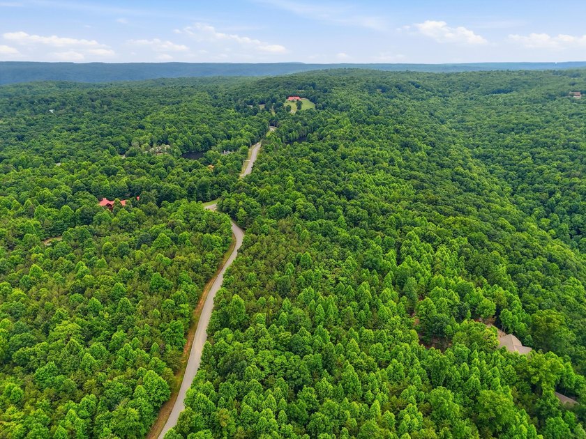 INVESTMENT GEM! Located in the Fredonia Mountain Nature Resort - photo 10