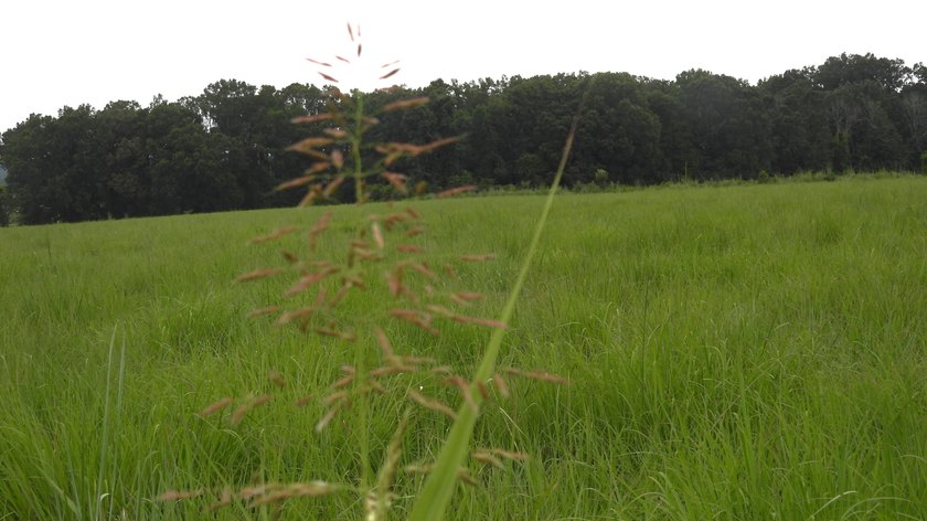 34.26 Acres of East Tennessee Beauty &amp; Possibility Nestled in - photo 4