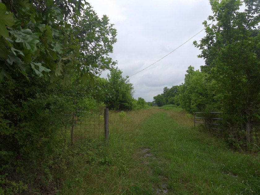 34.26 Acres of East Tennessee Beauty &amp; Possibility Nestled in - photo 5