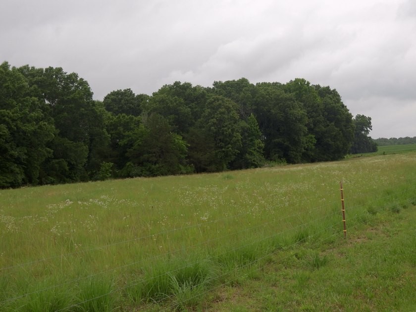 34.26 Acres of East Tennessee Beauty &amp; Possibility Nestled in - photo 8