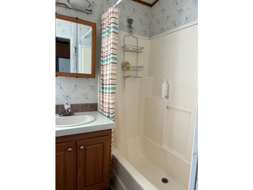 ADORABLE PARK MODEL with vinyl plank flooring, tinted windows - photo 12