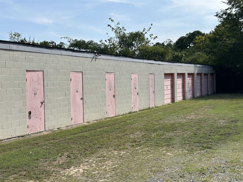 HEBER SPRINGS AREA GOLD MINE!!!!This 88-unit storage facility - photo 6