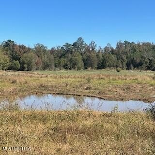 Turnkey hunting properties with this level of infrastructure - photo 7