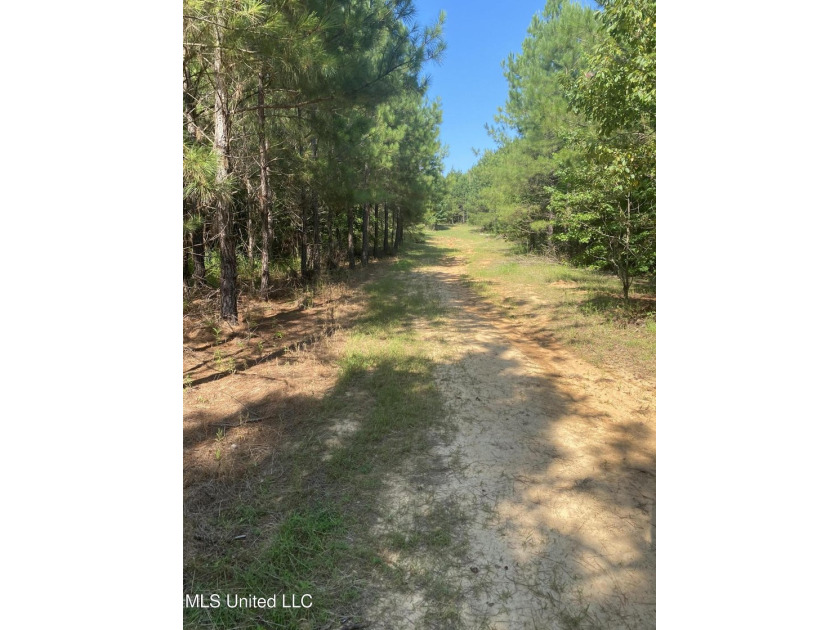 Turnkey hunting properties with this level of infrastructure - photo 10