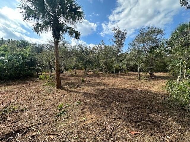 Secluded Old Florida Oasis - Private Land Experience the charm - photo 3