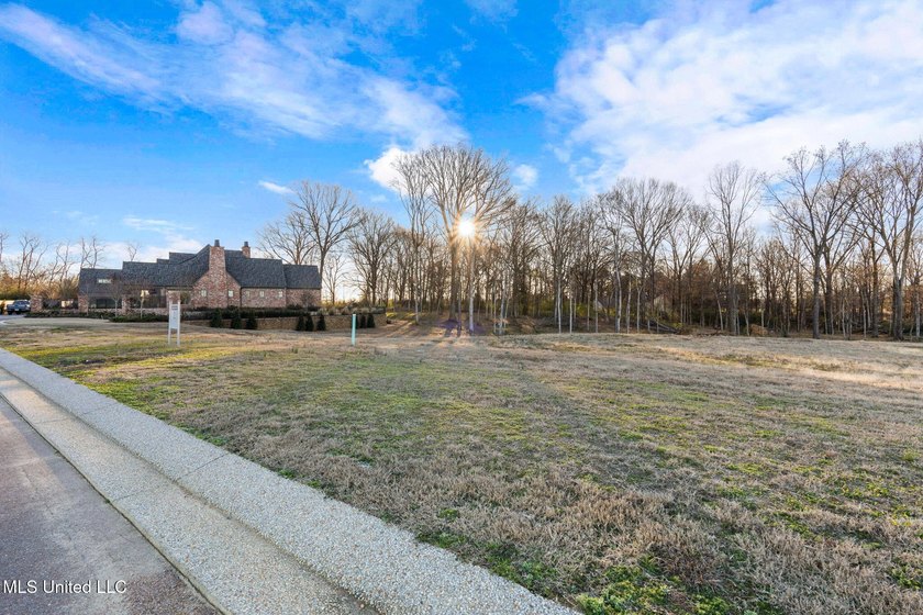 Welcome to DeSoto County, Mississippi's newest luxury - photo 4