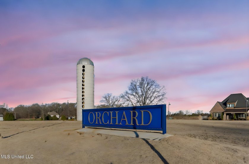 Welcome to DeSoto County, Mississippi's newest luxury - photo 10