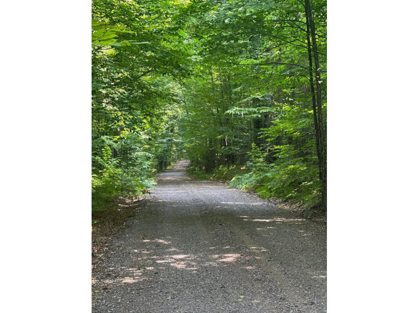 Discover your own peaceful retreat with this unique Northwoods - photo 32