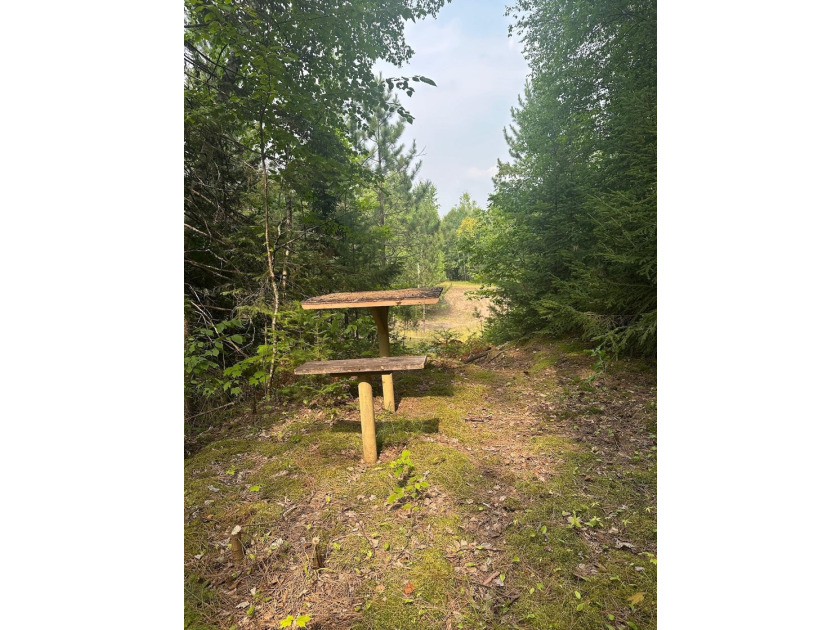Discover your own peaceful retreat with this unique Northwoods - photo 33
