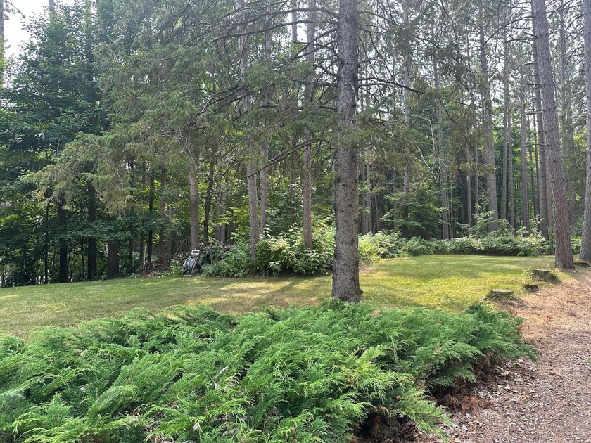 Discover your own peaceful retreat with this unique Northwoods - photo 34