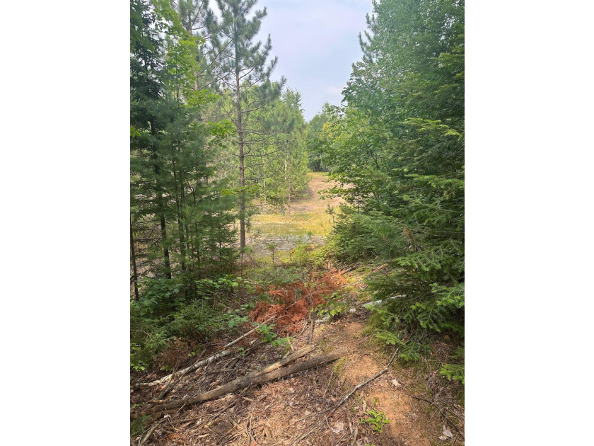 Discover your own peaceful retreat with this unique Northwoods - photo 35