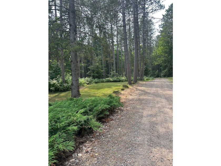 Discover your own peaceful retreat with this unique Northwoods - photo 36