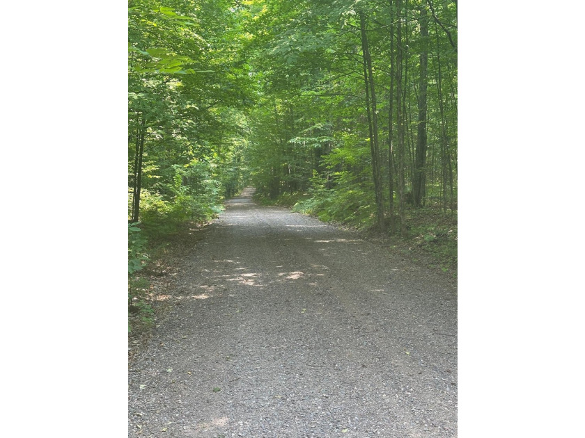 Discover your own peaceful retreat with this unique Northwoods - photo 37