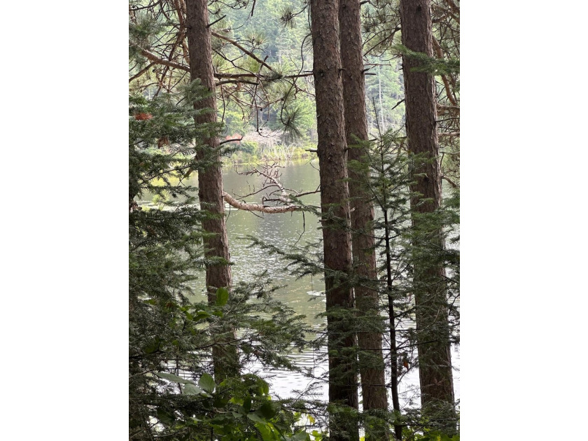 Discover your own peaceful retreat with this unique Northwoods - photo 40
