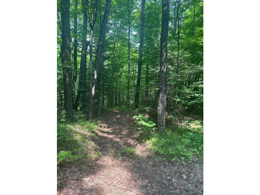 Discover your own peaceful retreat with this unique Northwoods - photo 42