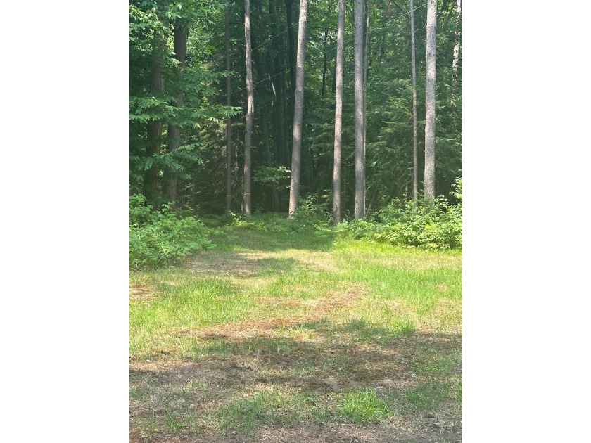 Discover your own peaceful retreat with this unique Northwoods - photo 43