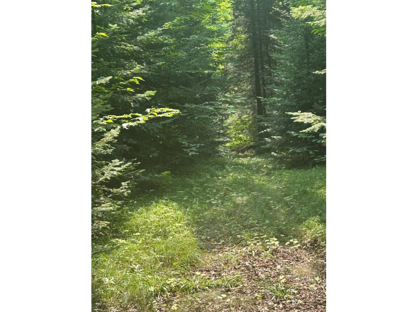 Discover your own peaceful retreat with this unique Northwoods - photo 44