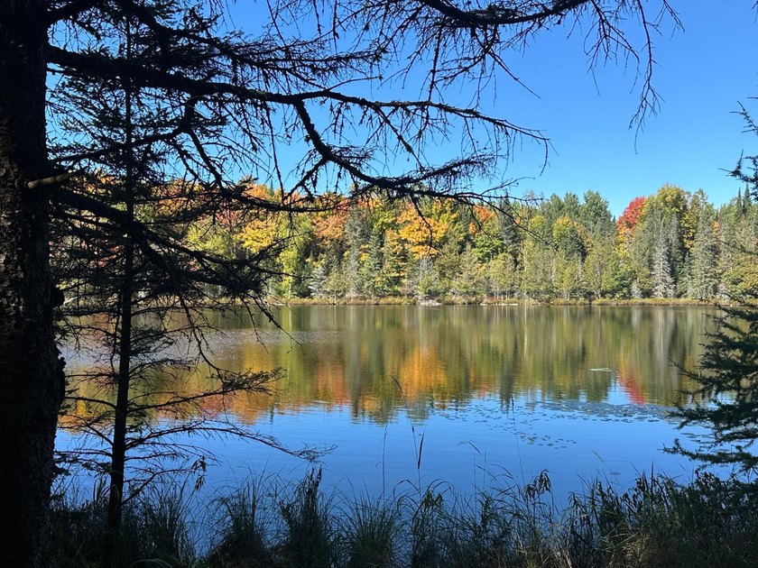 Discover your own peaceful retreat with this unique Northwoods - photo 50