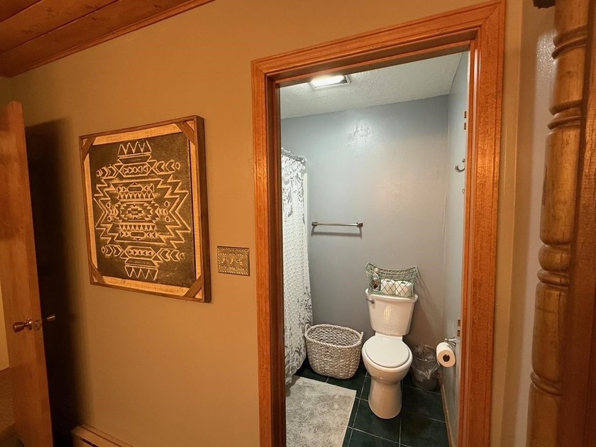 RUSTIC CHARM, SPACIOUS LIVING AREAS, MODERN UPGRADES, FIRE PIT - photo 21
