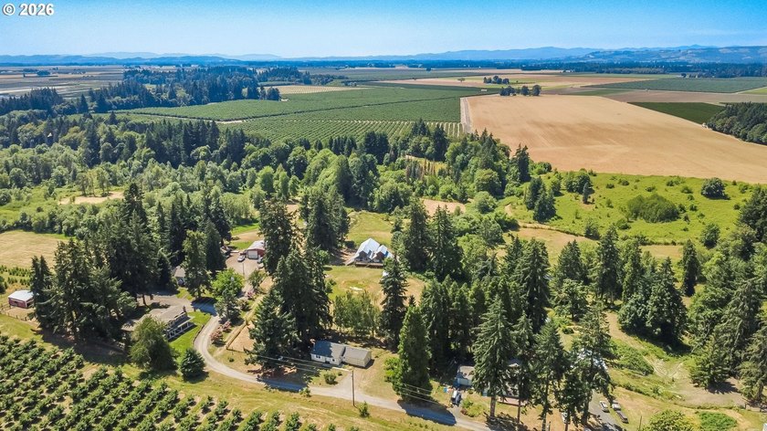 Welcome to your own slice of Oregon's beautiful Willamette - photo 3