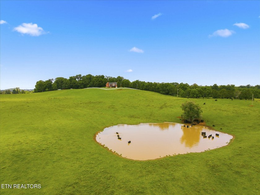PRIME COMMERCIAL DEVELOPMENT OPPORTUNITY - HISTORIC DANDRIDGE - photo 23