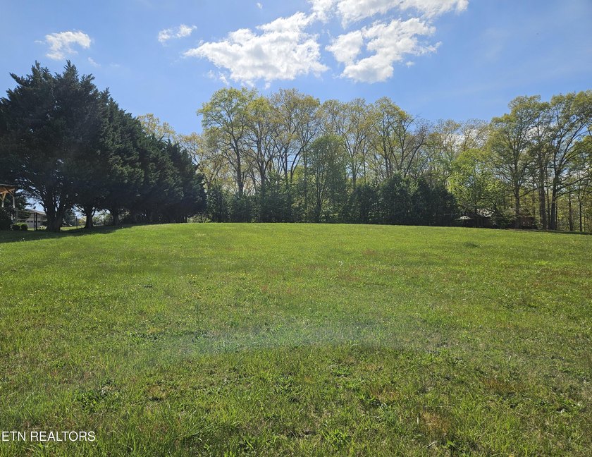 Lot 84 Mallard Baye is a beautiful future homesite positioned to - photo 6