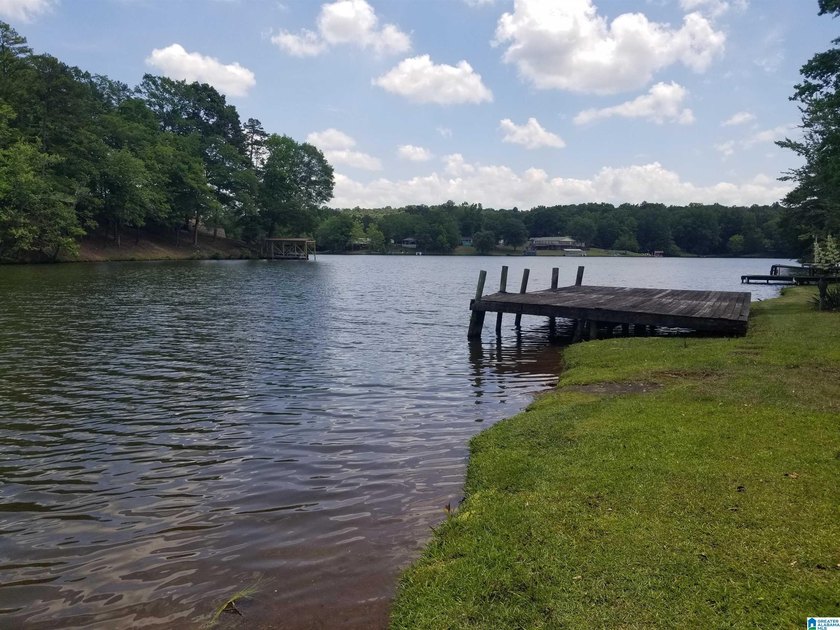Awesome lake homes perfect getaway on Lake Gerald with awesome - photo 25