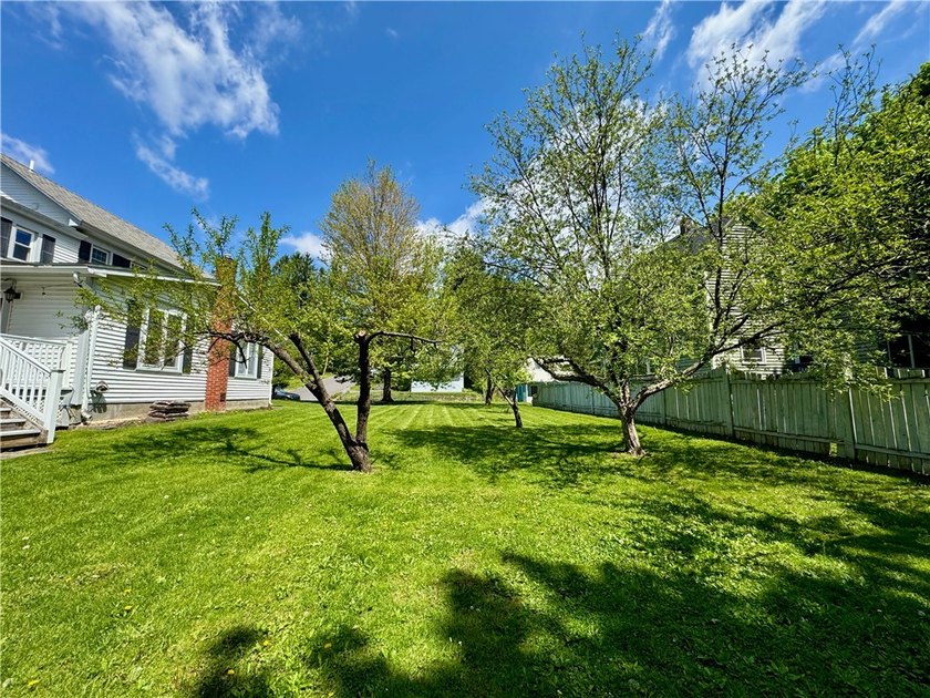 This is the LARGE house on the LARGE lot you have been looking - photo 48