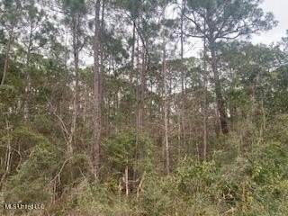 Build your new home in this quiet neighborhood close to the - photo 2