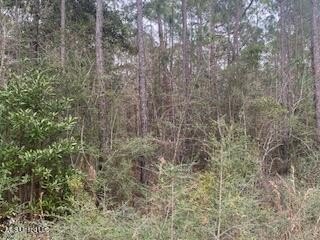 Build your new home in this quiet neighborhood close to the - photo 3
