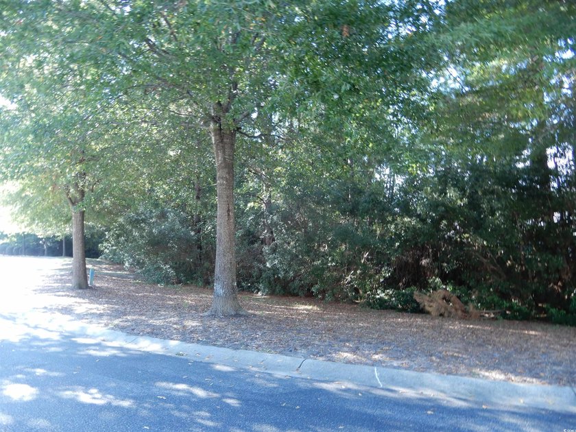 Sought after Saw Grass East in Carolina Forest. Regular - photo 18